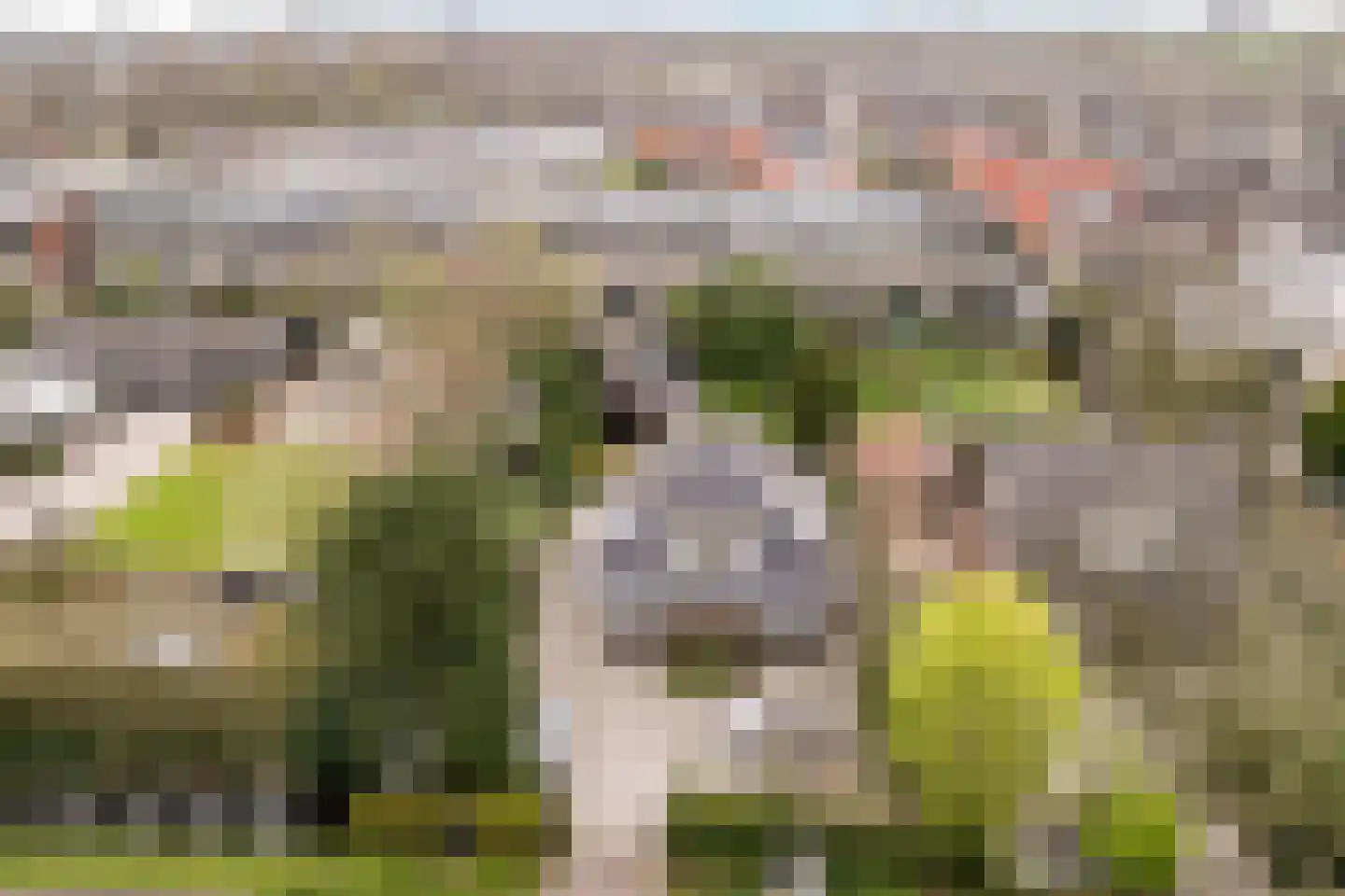 Hoofdweg-Zuid 18 Nieuwerkerk aan den IJssel thumbnail 5