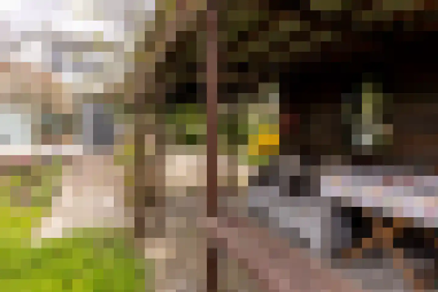 Hoofdweg-Zuid 18 Nieuwerkerk aan den IJssel thumbnail 60