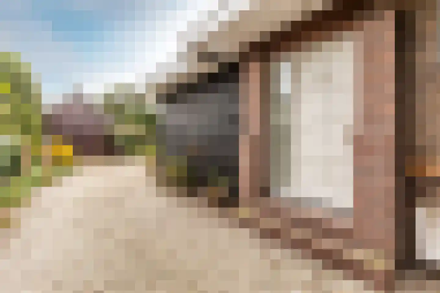 Hoofdweg-Zuid 18 Nieuwerkerk aan den IJssel thumbnail 7