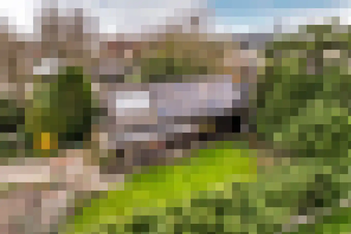 Hoofdweg-Zuid 18 Nieuwerkerk aan den IJssel thumbnail 73