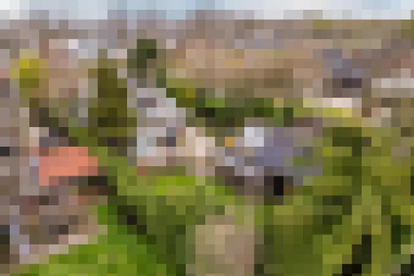 Hoofdweg-Zuid 18 Nieuwerkerk aan den IJssel thumbnail 74