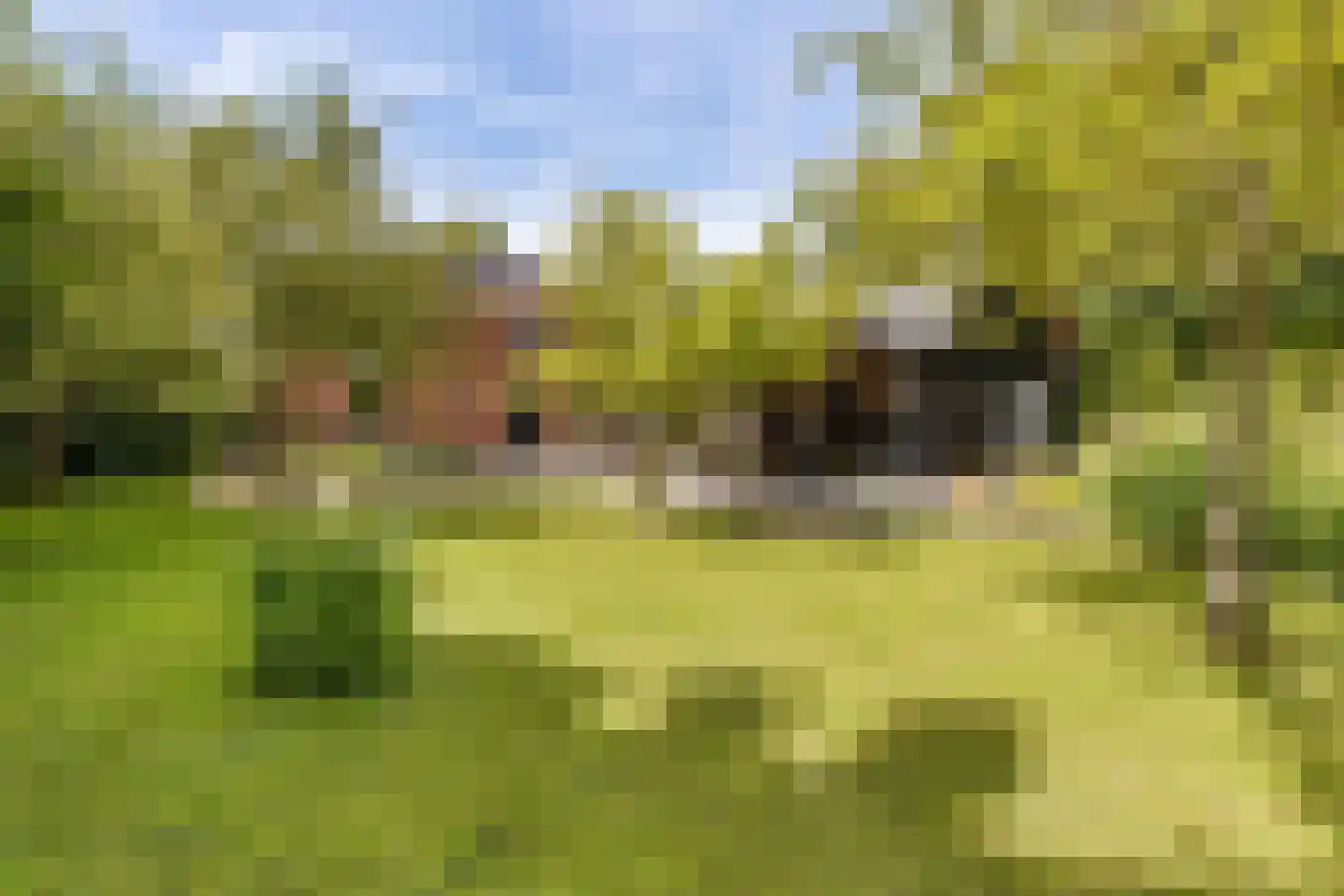 Hoofdweg-Zuid 21 Spijk thumbnail 49