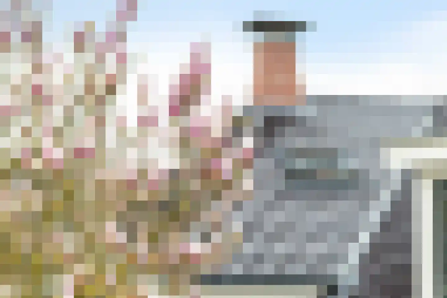 Hoofdweg-Zuid 21 Spijk thumbnail 7