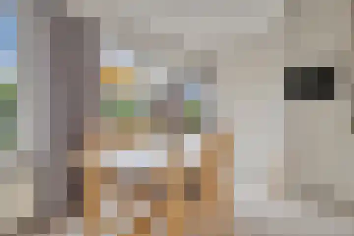 Hoofdweg Zuid 34 Zuiddorpe thumbnail 18
