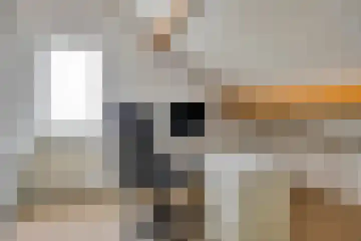 Hoofdweg Zuid 34 Zuiddorpe thumbnail 24