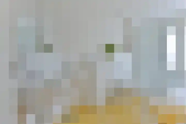Hoofdweg Zuid 34 Zuiddorpe thumbnail 26