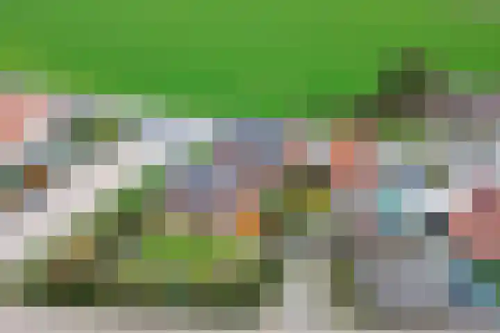 Hoofdweg Zuid 34 Zuiddorpe thumbnail 43
