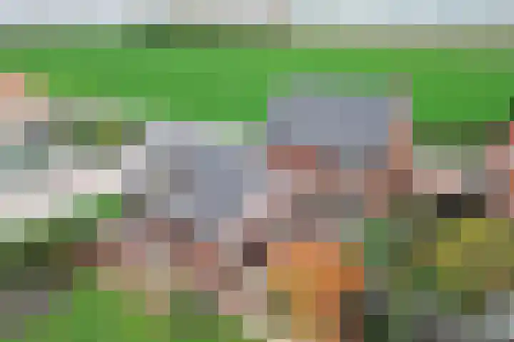 Hoofdweg Zuid 34 Zuiddorpe thumbnail 44