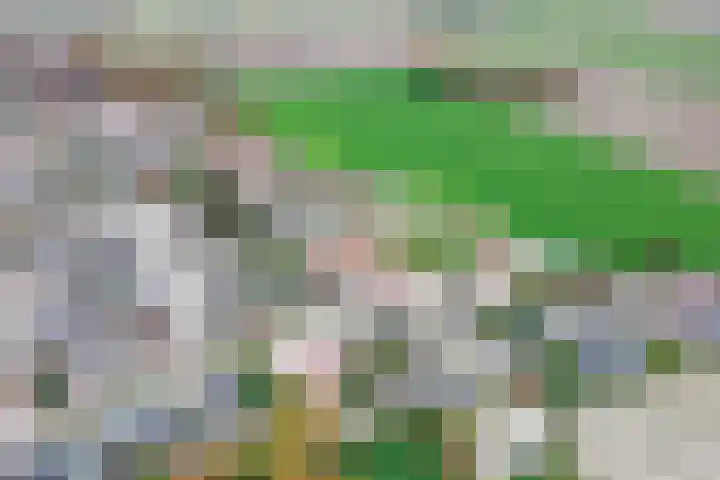 Hoofdweg Zuid 34 Zuiddorpe thumbnail 46