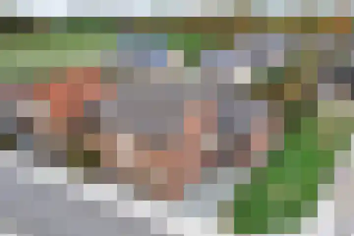 Hoofdweg Zuid 34 Zuiddorpe thumbnail 6