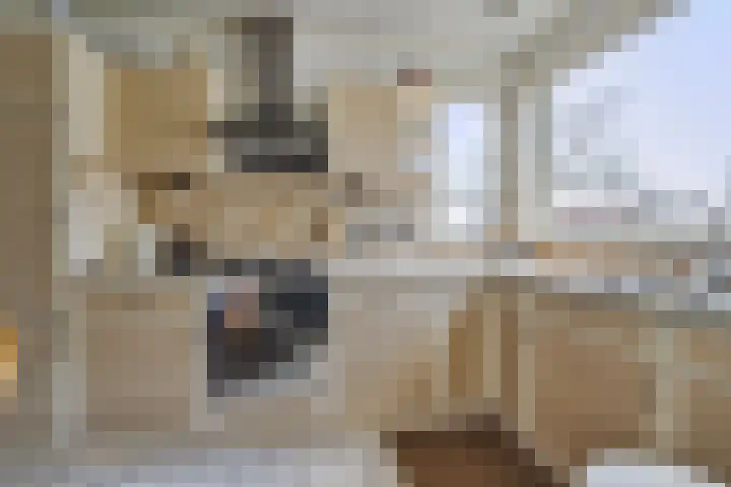 Hoofdweg Zuid 72 Zuiddorpe thumbnail 13