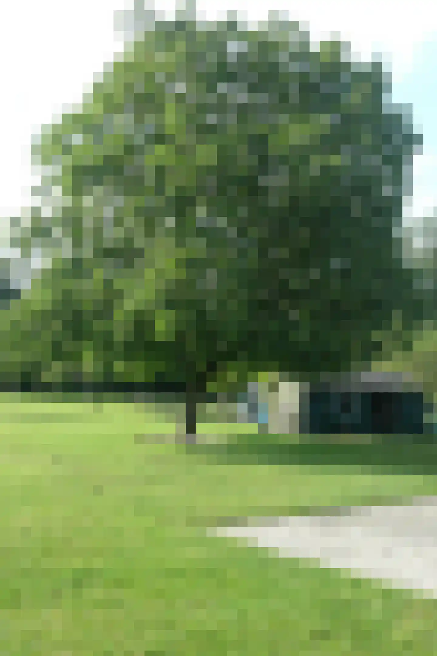 Hoofdweg Zuid 72 Zuiddorpe thumbnail 32