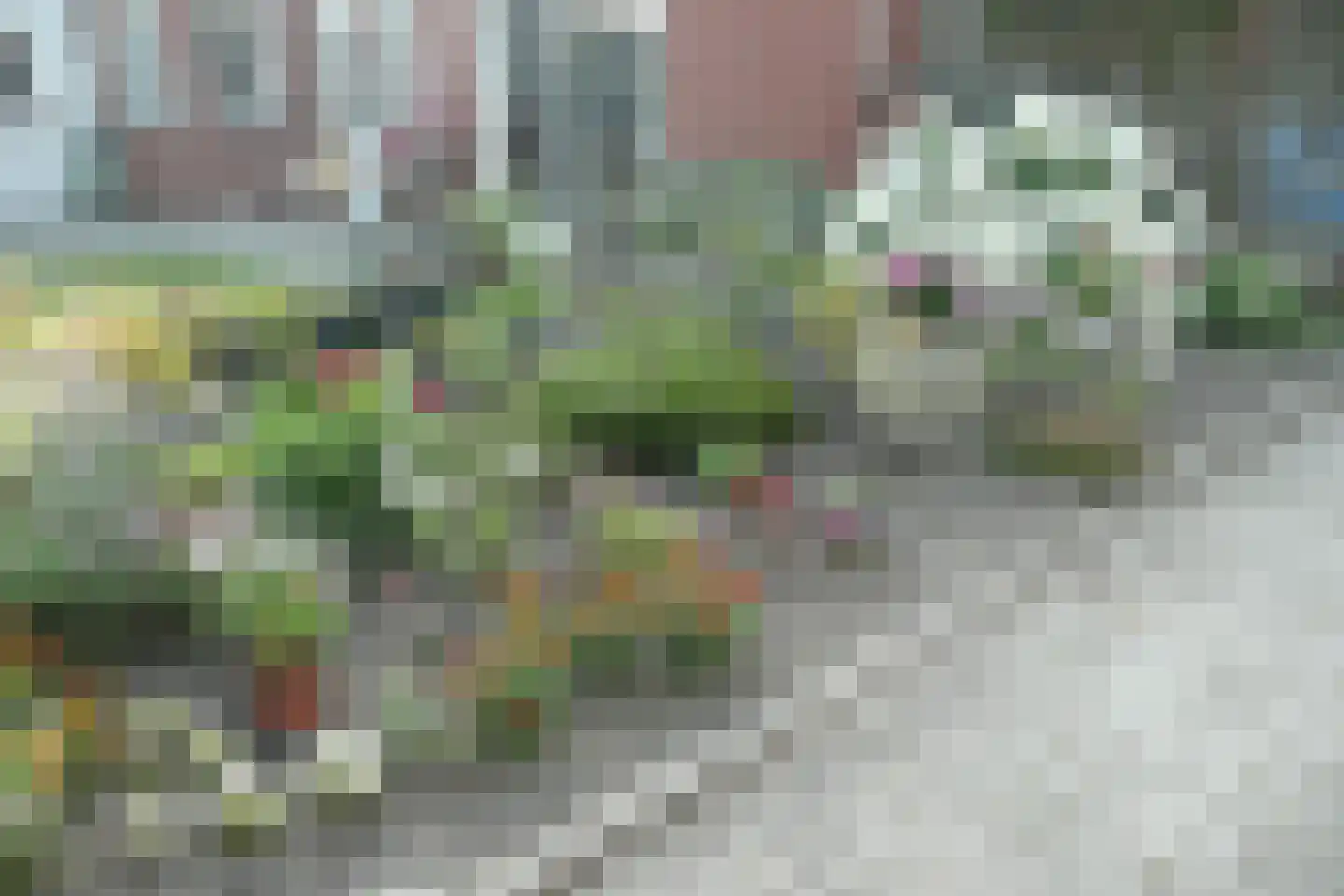 Hoofdweg Zuid 72 Zuiddorpe thumbnail 34