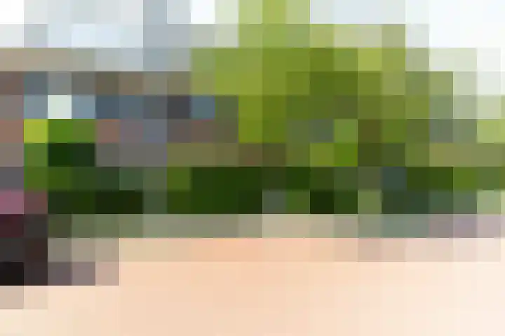 Hoofpolderstraat 25 in Den Haag