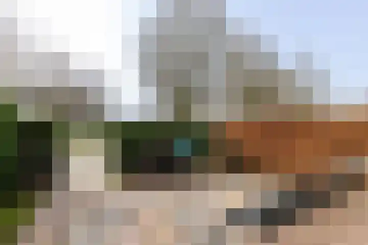 Hoofpolderstraat 9 in Den Haag