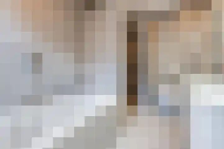 Hoofschestraat 19 Grave thumbnail 25