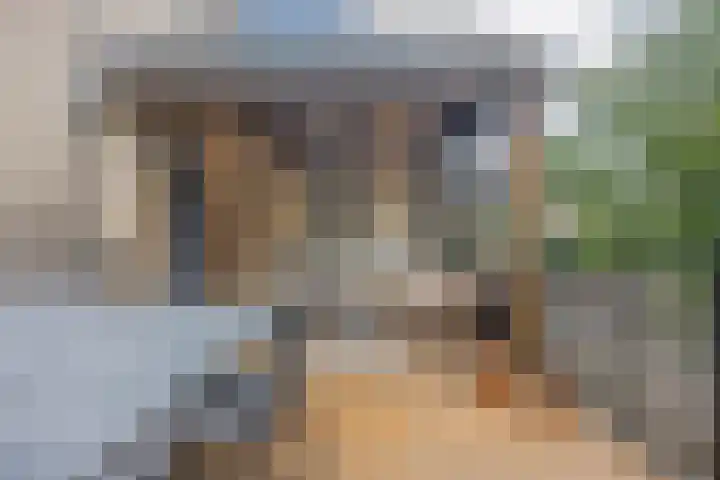 Hoofschestraat 31 Grave thumbnail 14