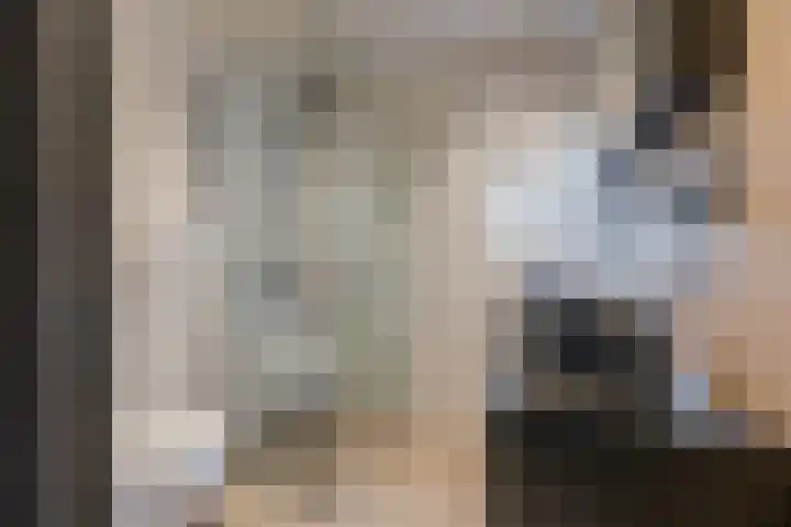 Hoofschestraat 31 Grave thumbnail 20