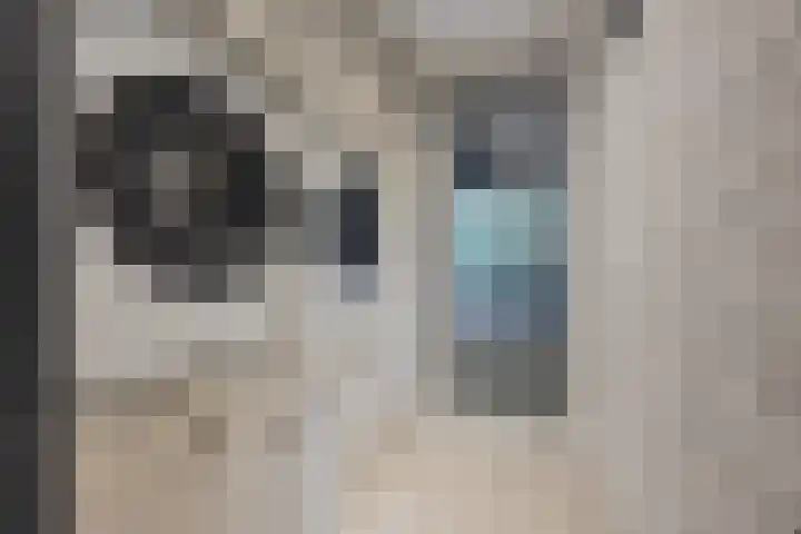 Hoofschestraat 31 Grave thumbnail 30
