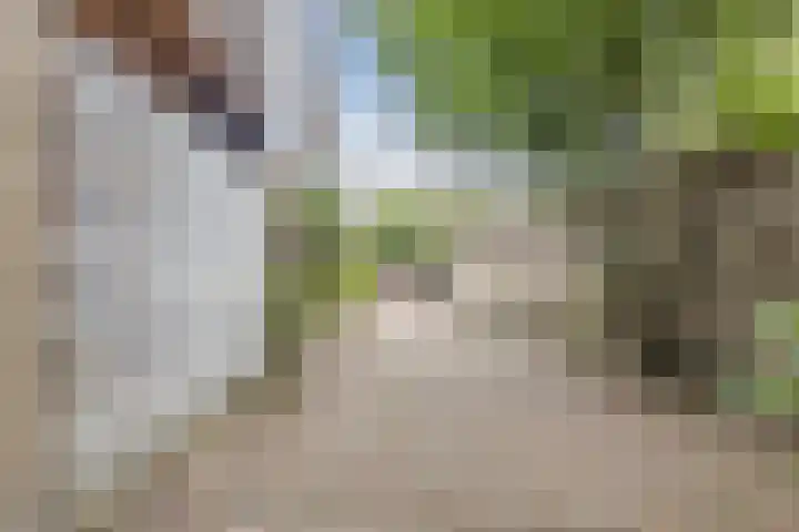 Hoofschestraat 31 Grave thumbnail 33