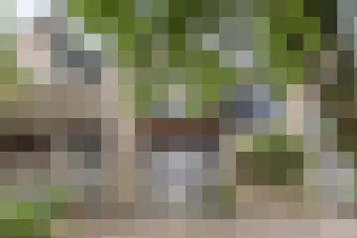 Hoofschestraat 31 Grave thumbnail 34