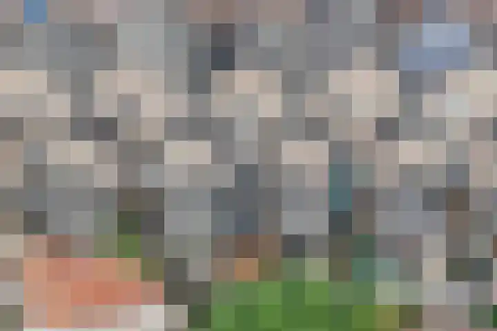 Hoofschestraat 31 Grave thumbnail 36