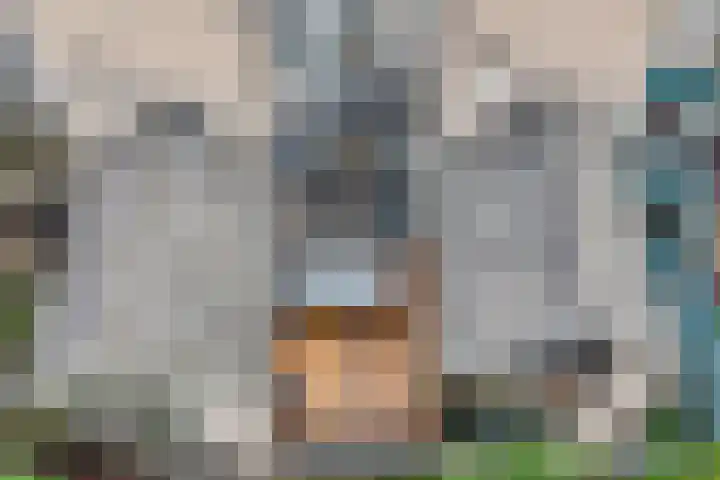 Hoofschestraat 31 Grave thumbnail 37