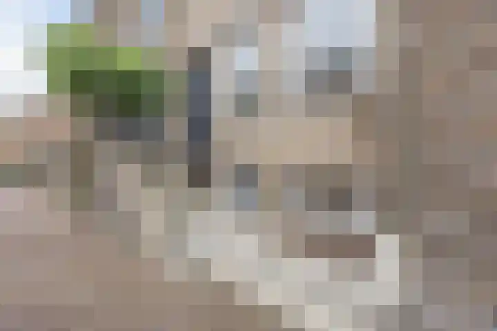 Hoofschestraat 31 Grave thumbnail 39