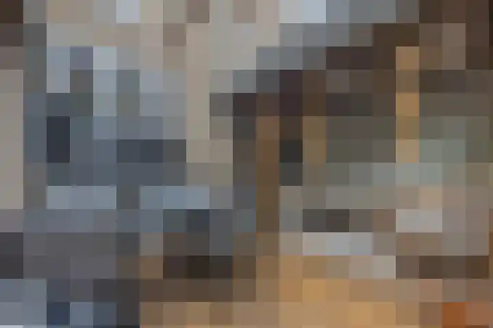 Hoofschestraat 31 Grave thumbnail 4