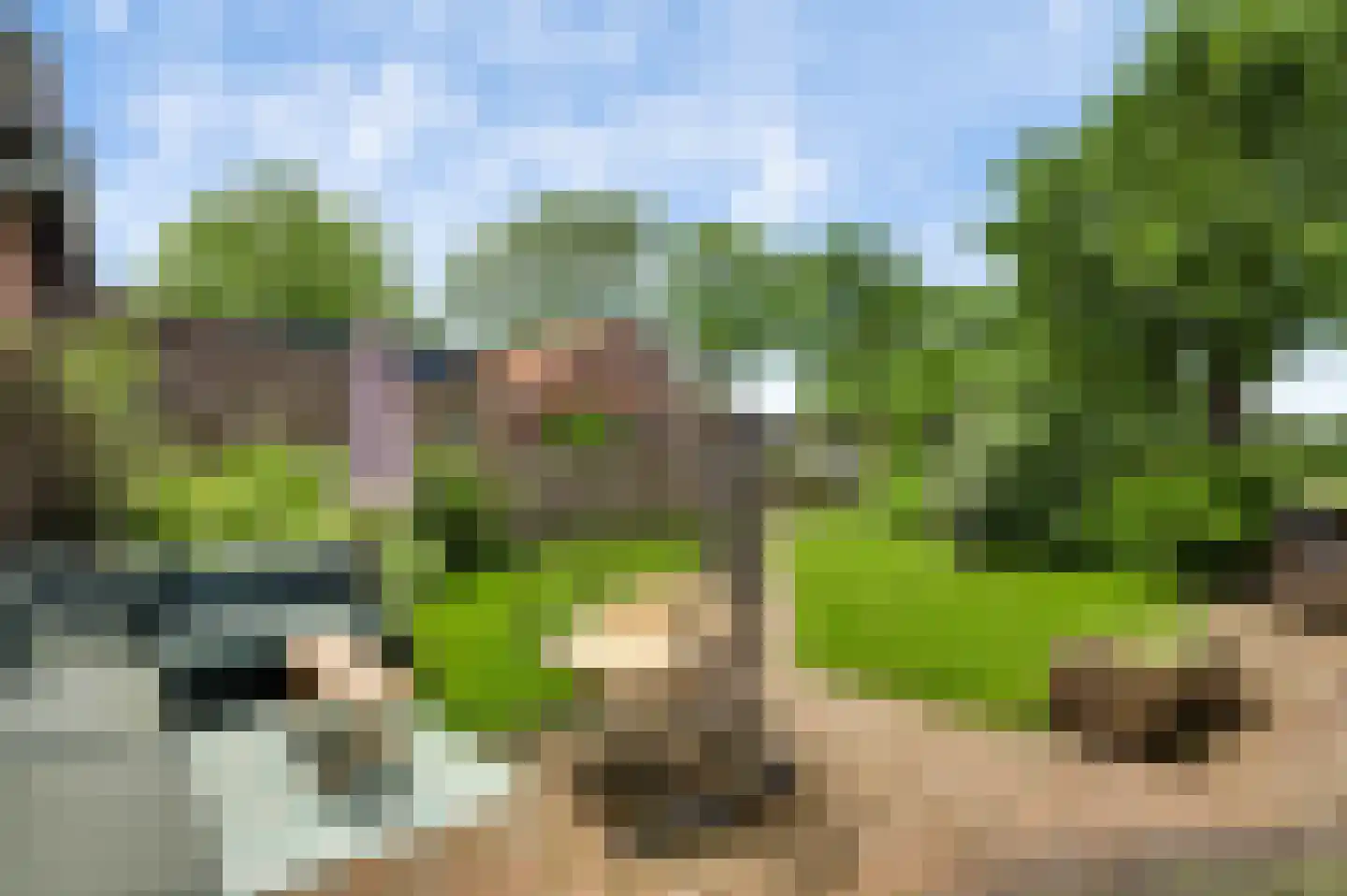 Hoofstraat 4 Nederweert thumbnail 25