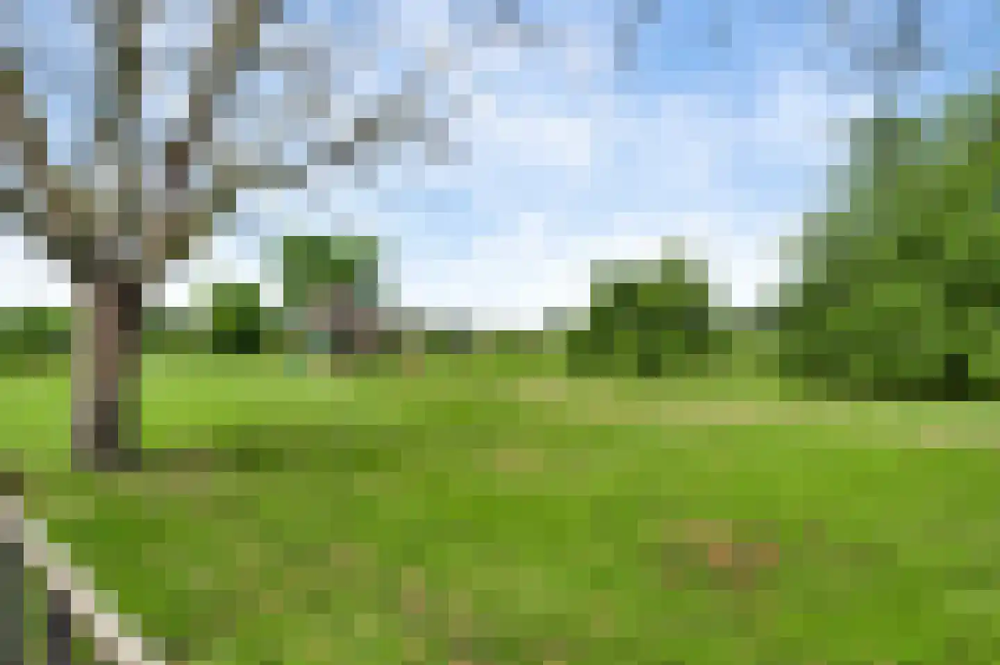 Hoofstraat 4 Nederweert thumbnail 31