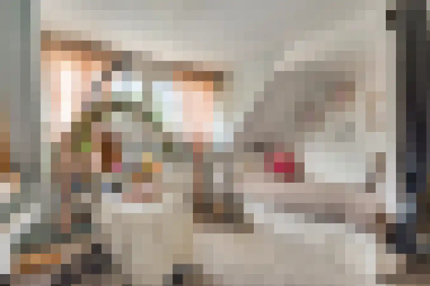 Hoofstraat 4 Nederweert thumbnail 34