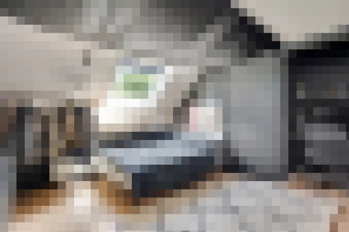 Hoofstraat 4 Nederweert thumbnail 35