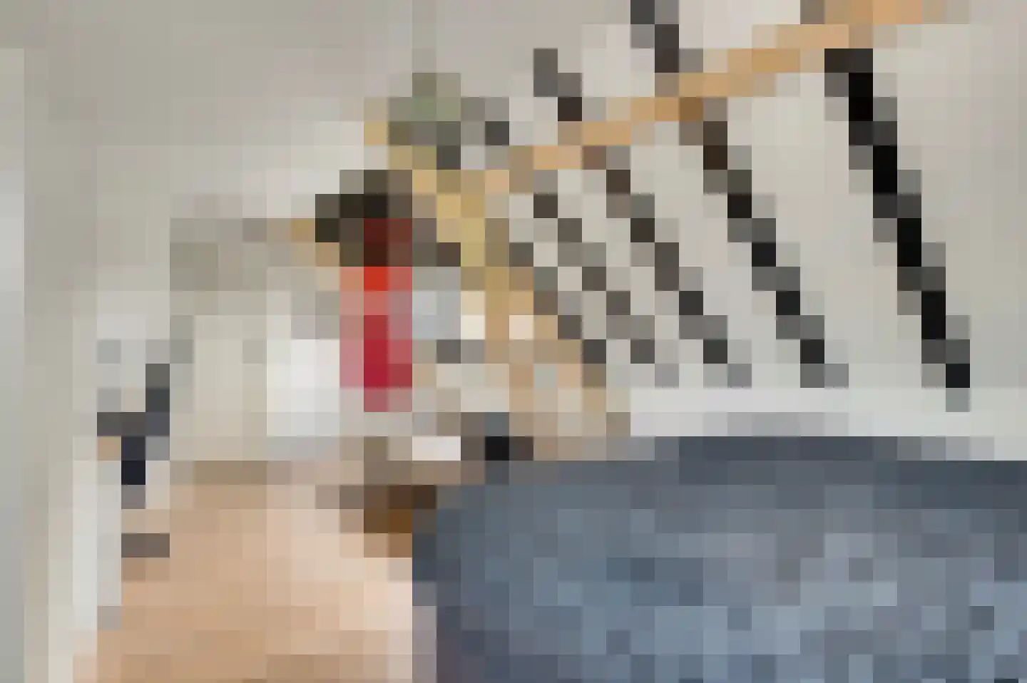 Hoofstraat 4 Nederweert thumbnail 38
