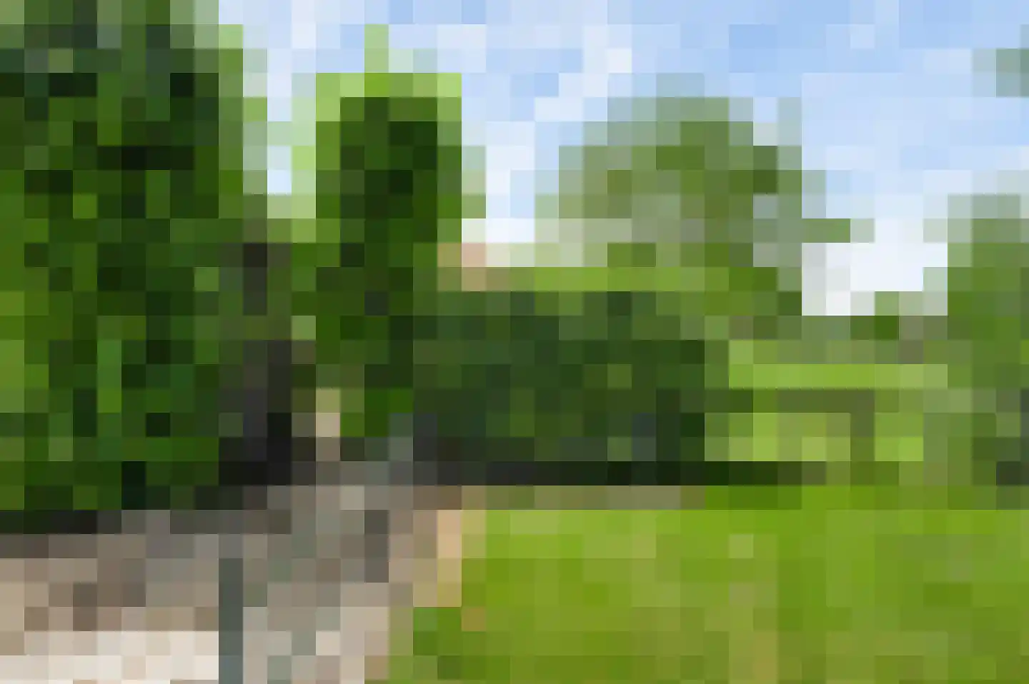 Hoofstraat 4 Nederweert thumbnail 47