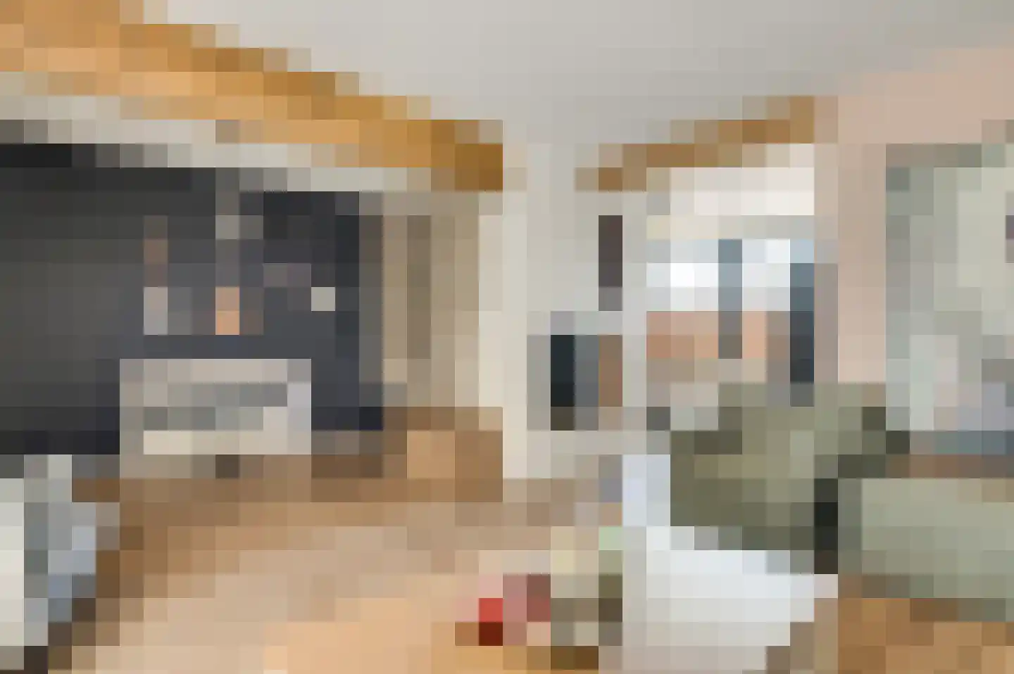 Hoofstraat 4 Nederweert thumbnail 5