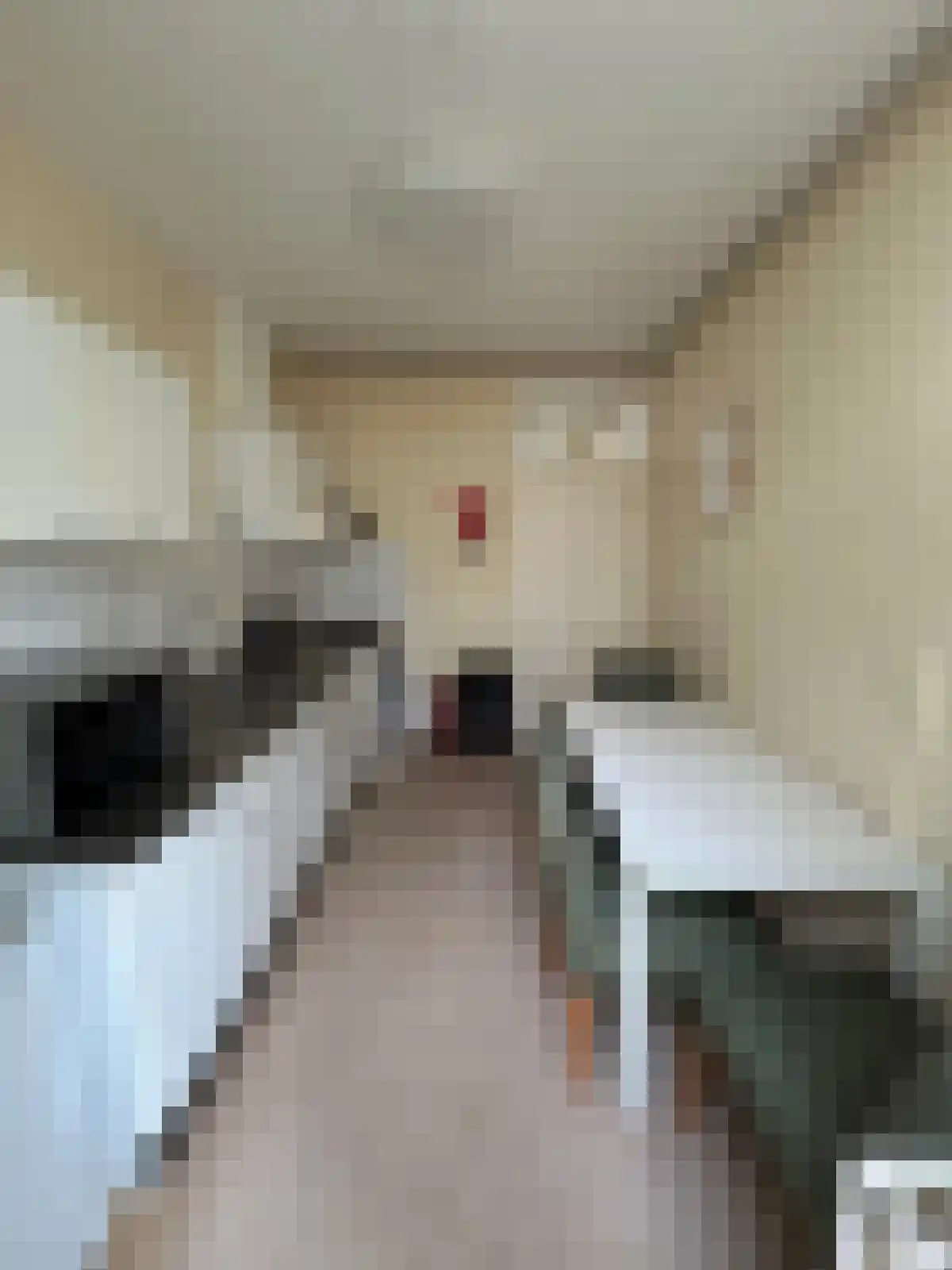 Hoofstraat 62 Terhole thumbnail 4