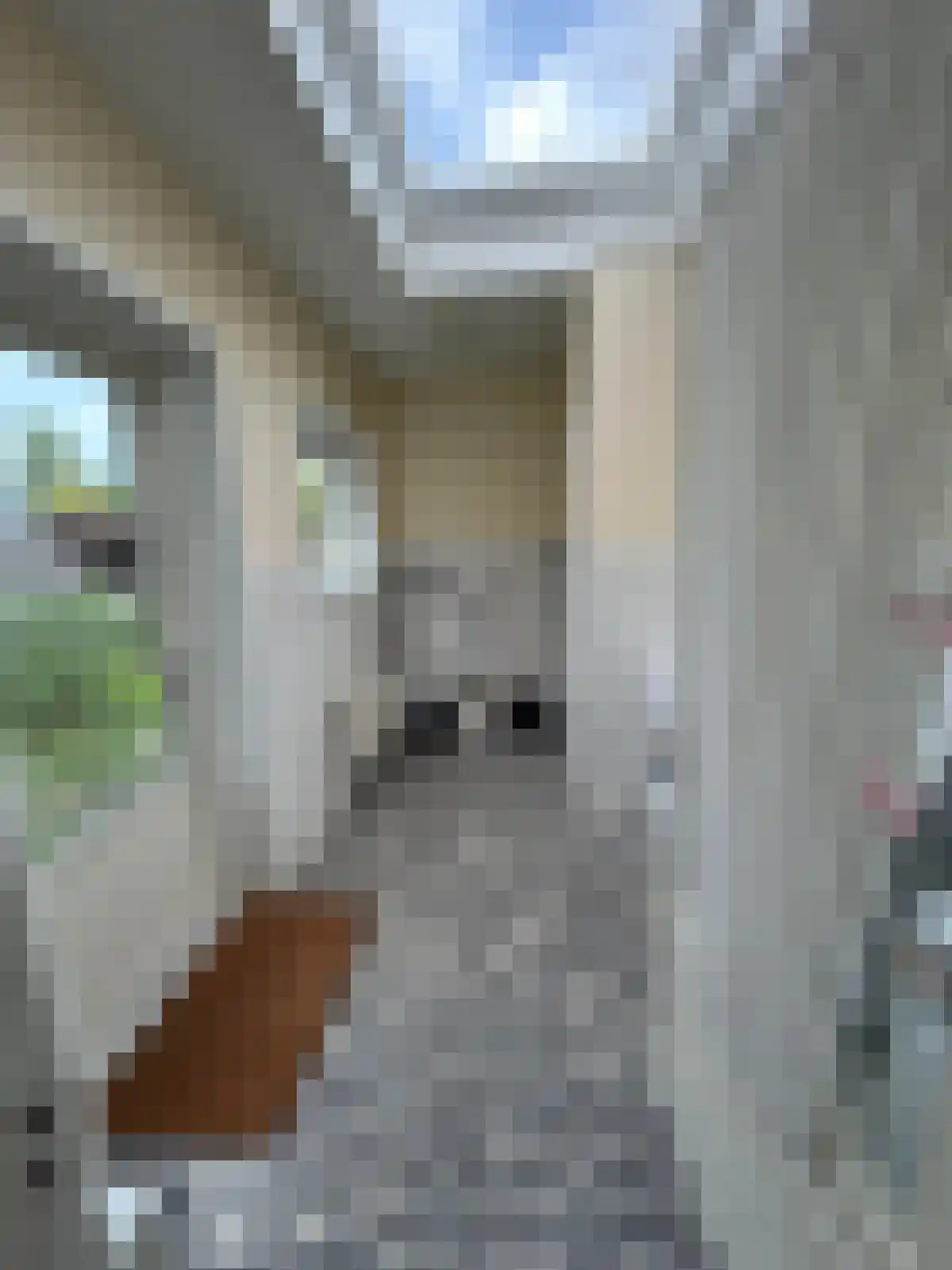 Hoofstraat 62 Terhole thumbnail 6