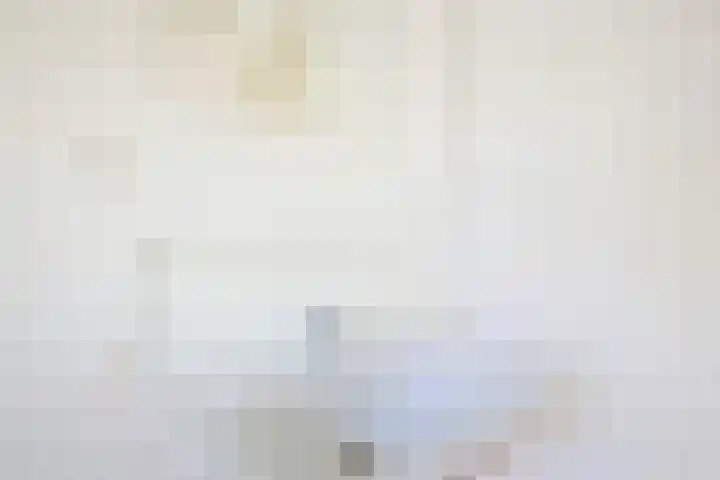 Hooft Graaflandstraat 117 Utrecht thumbnail 38