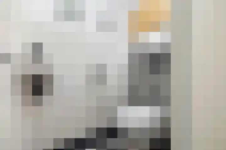 Hooft Graaflandstraat 133 Utrecht thumbnail 20