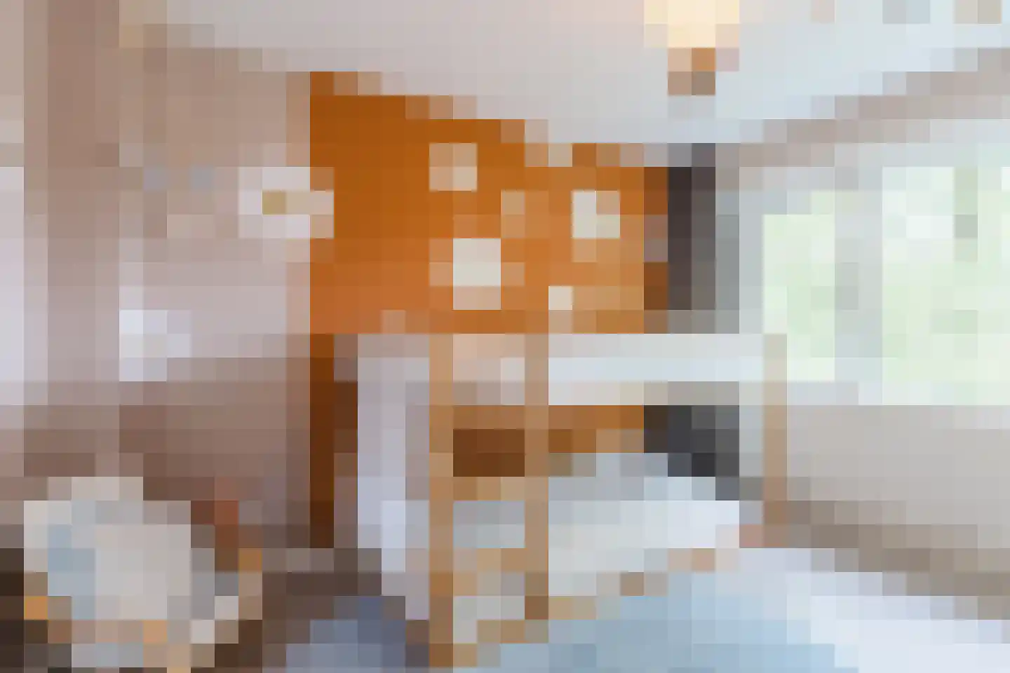 Hooft Graaflandstraat 15 Utrecht thumbnail 35