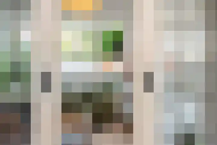 Hooft Graaflandstraat 21 Utrecht thumbnail 20