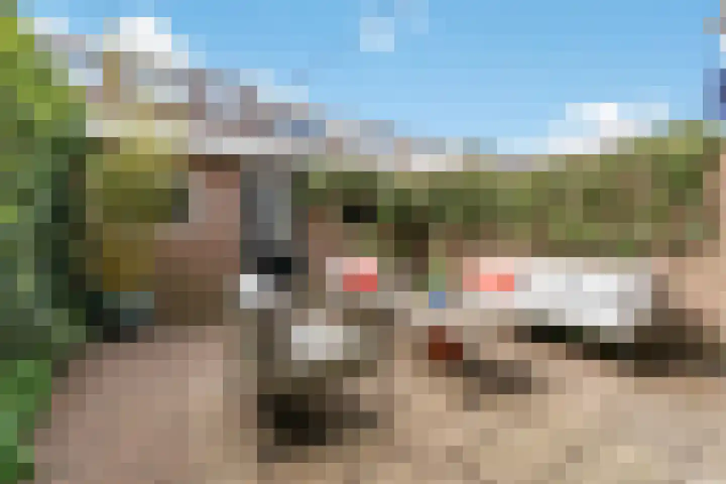 Hooft Graaflandstraat 45 Utrecht thumbnail 11