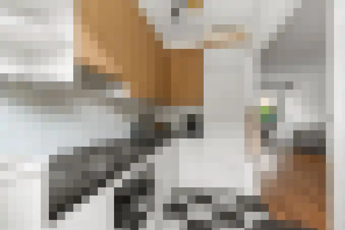 Hooft Graaflandstraat 45 Utrecht thumbnail 8