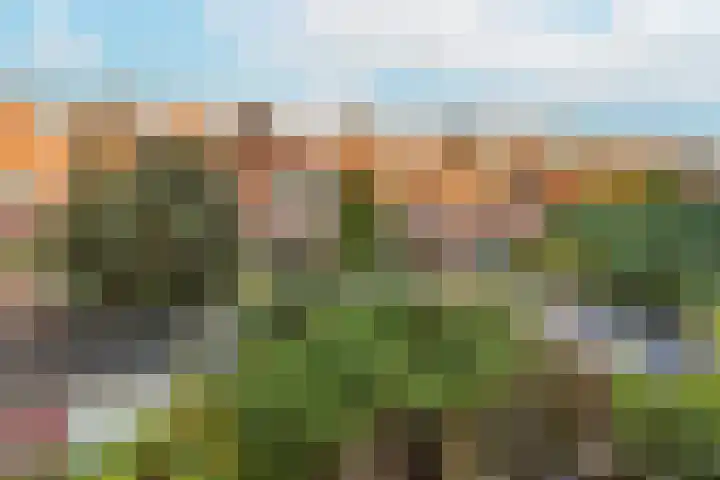 Hooft Graaflandstraat 61 Utrecht thumbnail 23