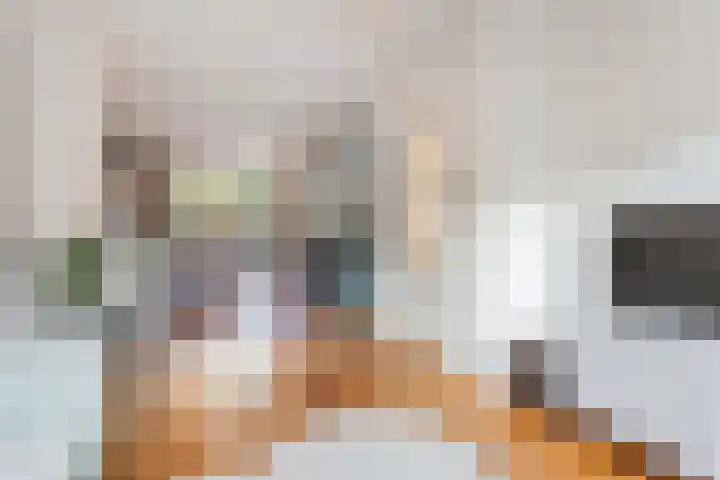 Hooft Graaflandstraat 61 Utrecht thumbnail 4