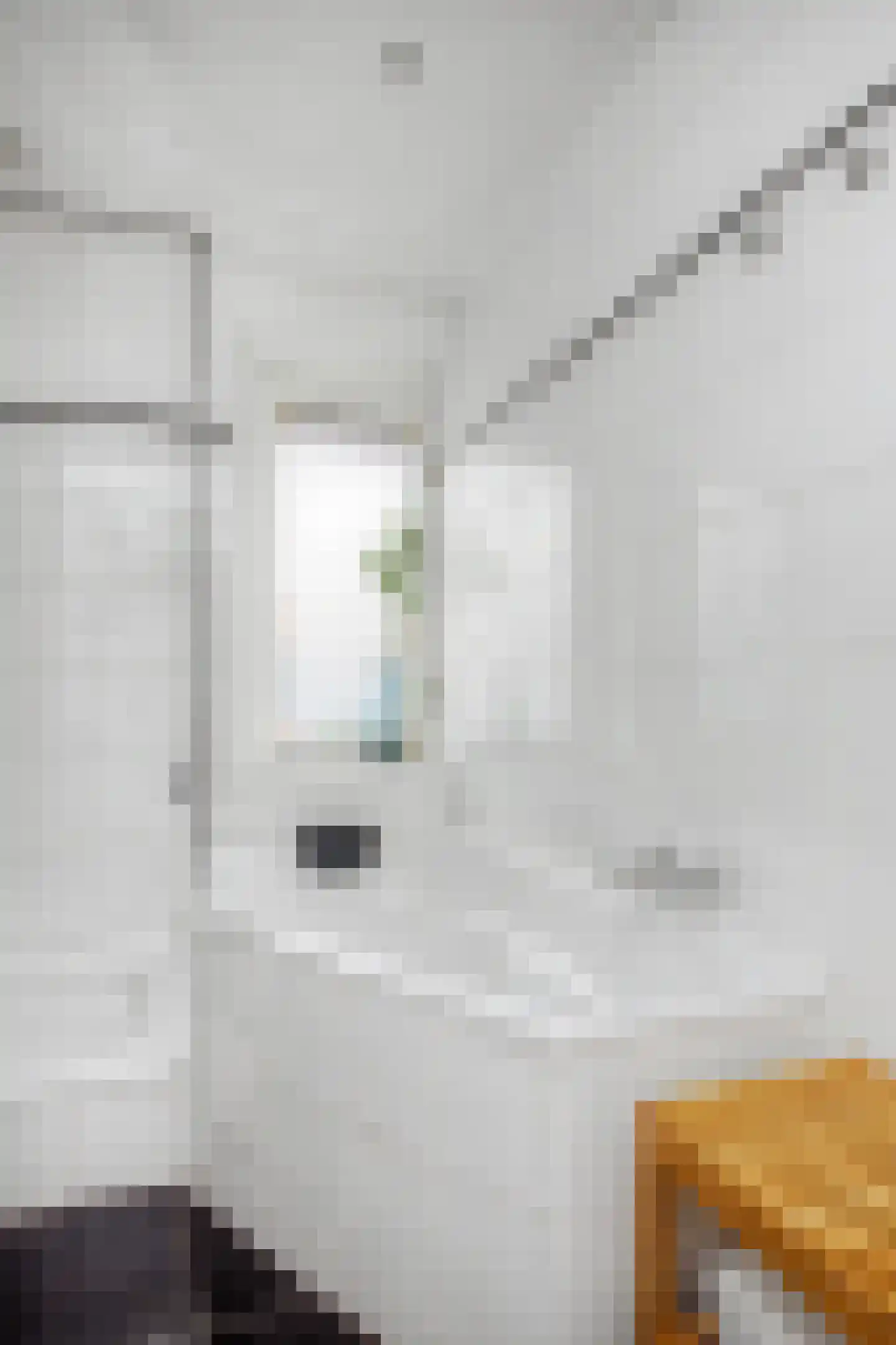 Hooft Graaflandstraat 67 Utrecht thumbnail 42