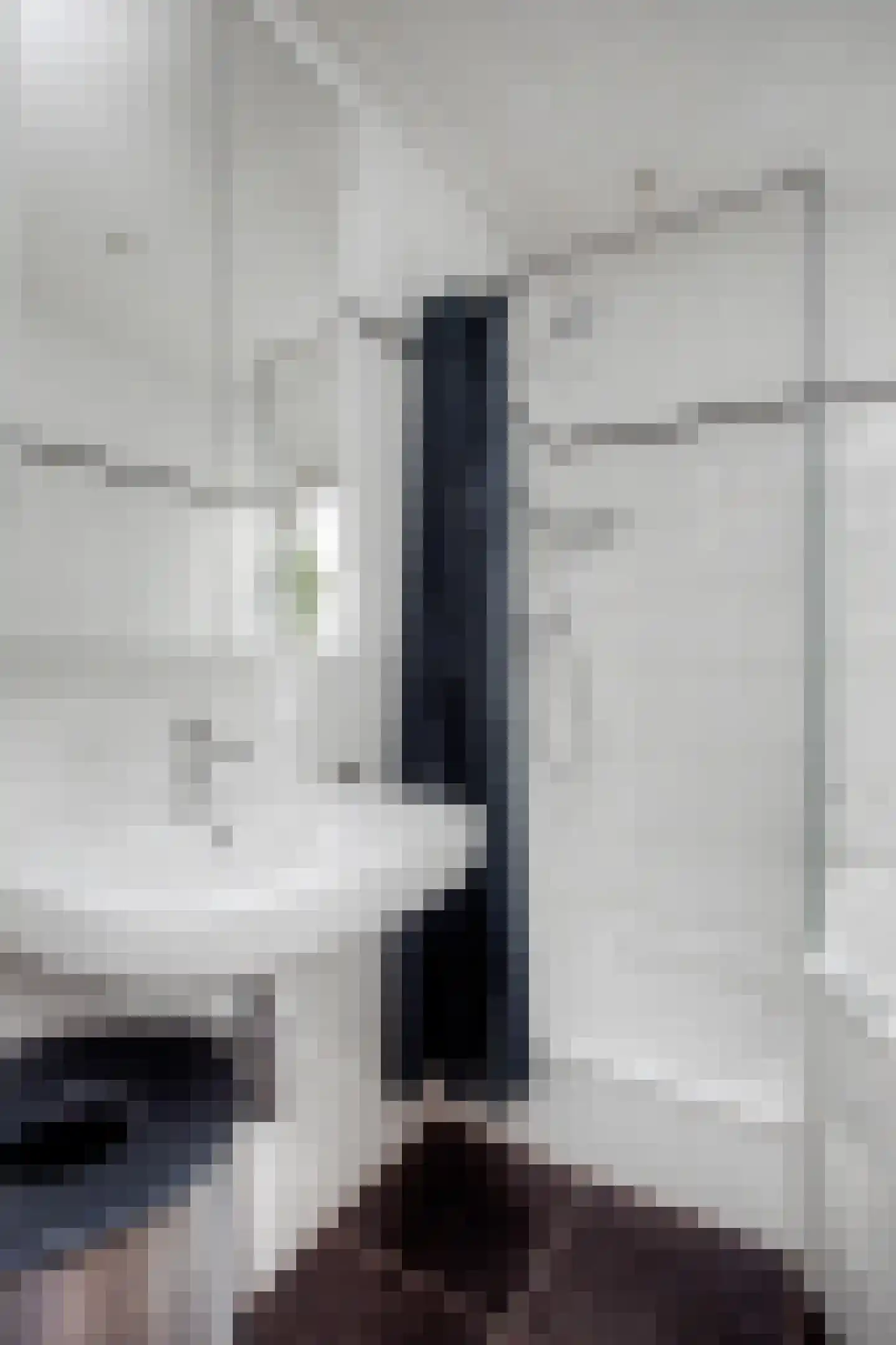 Hooft Graaflandstraat 67 Utrecht thumbnail 43