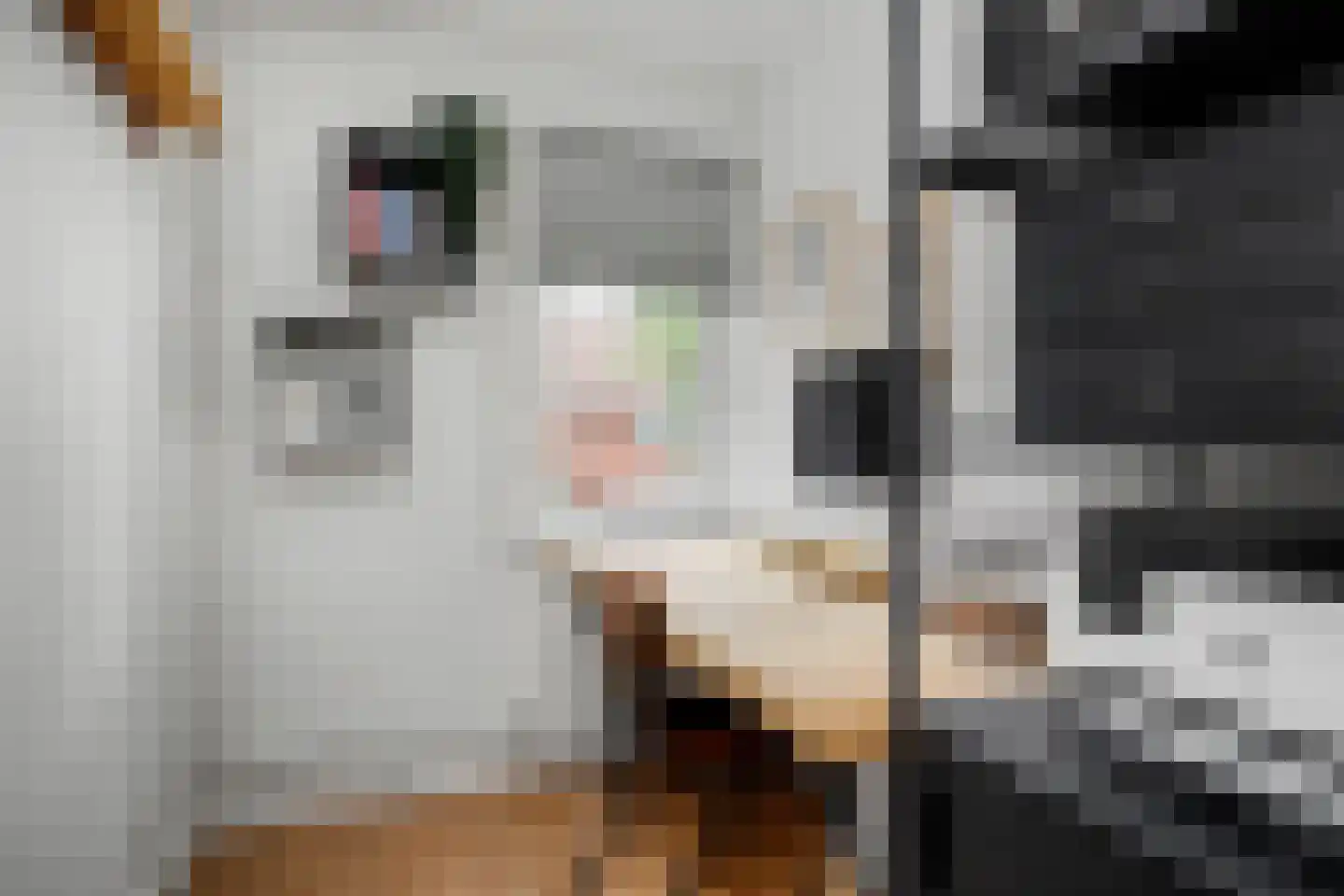 Hooft Graaflandstraat 67 Utrecht thumbnail 47