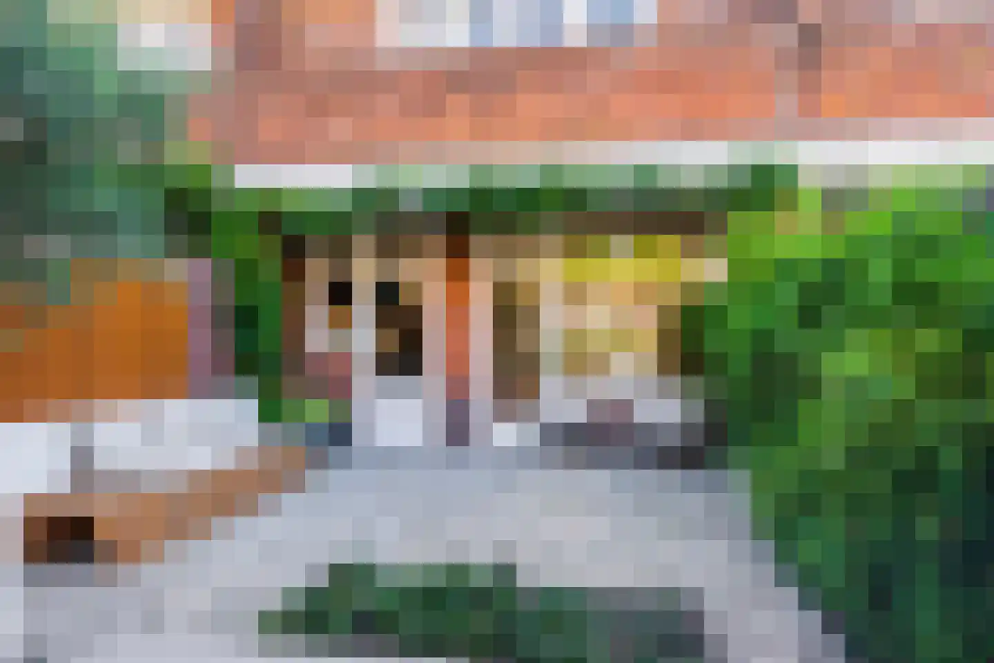 Hooft Graaflandstraat 69 Utrecht thumbnail 21